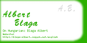 albert blaga business card